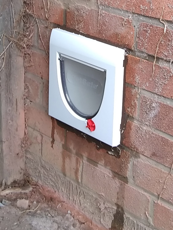Cat flap fitted through a wall Hexham, Northumberland