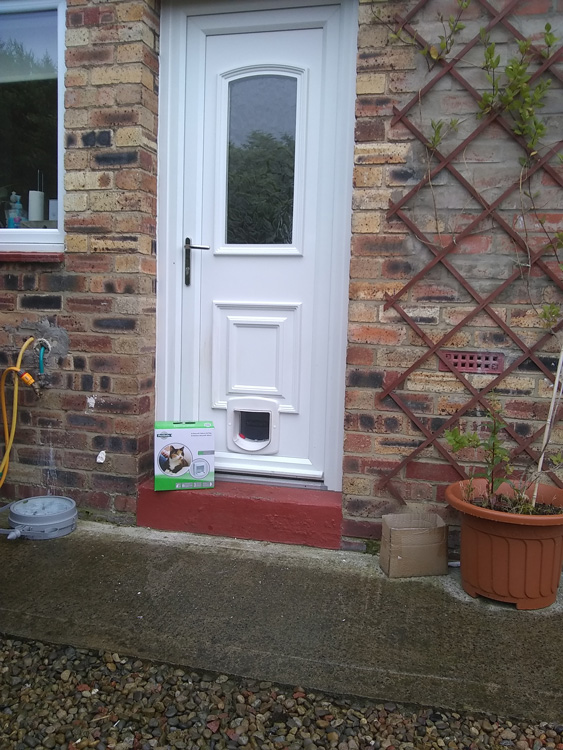 Cat flap fitters Blyth and Ashington