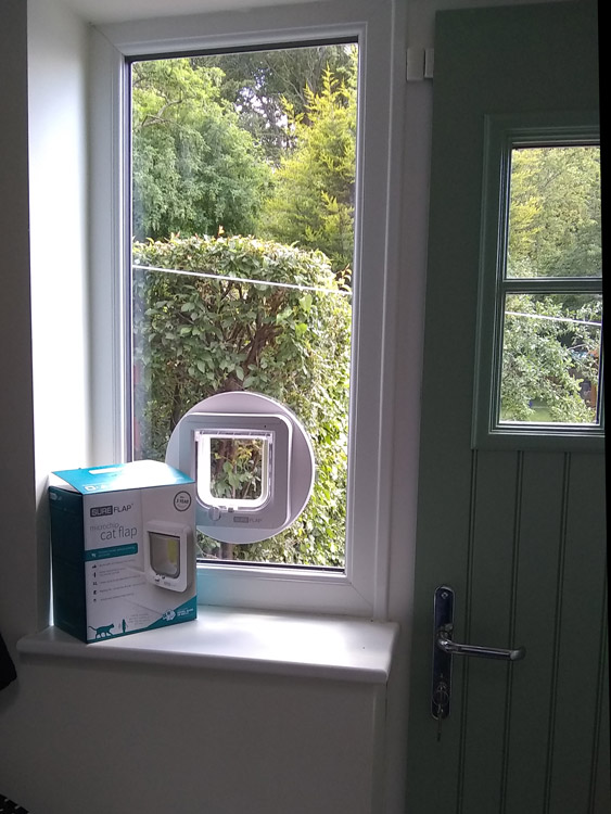 Cat flap fitters Ashington Northumberland