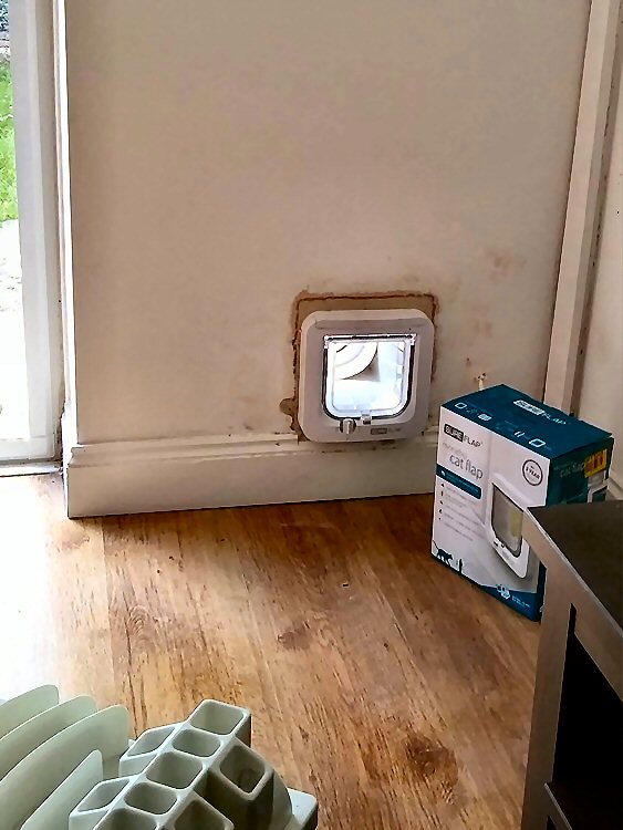 Cat flap fitted through the wall Washington and Sunderland
