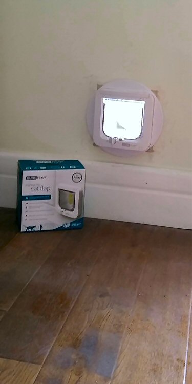 Cat flap tunnels
