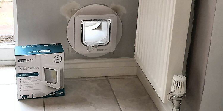 Cat flaps fitted through the wall