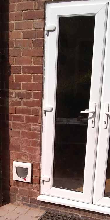 Cat flaps fitted through the wall