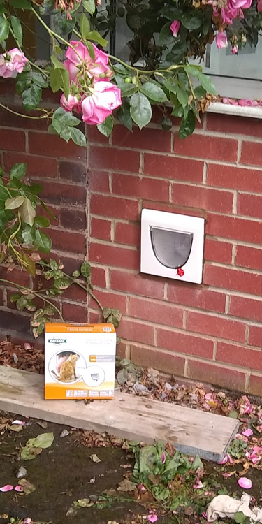 Cat flaps fitted through the wall Kenton and Newcastle