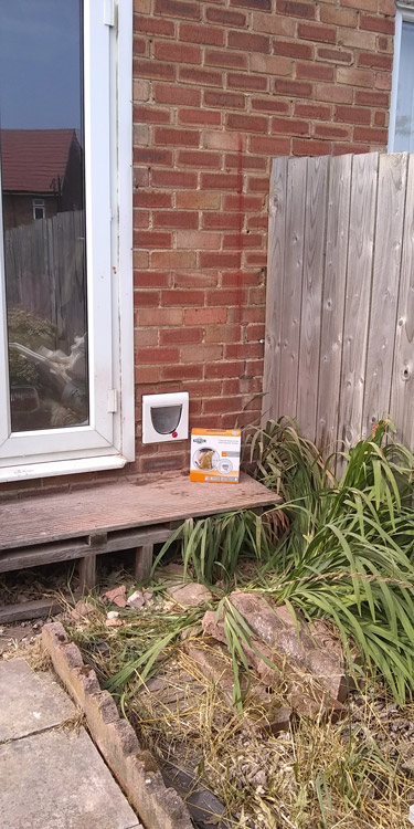 Cat flaps fitted through the wall Darlington and Hartlepool