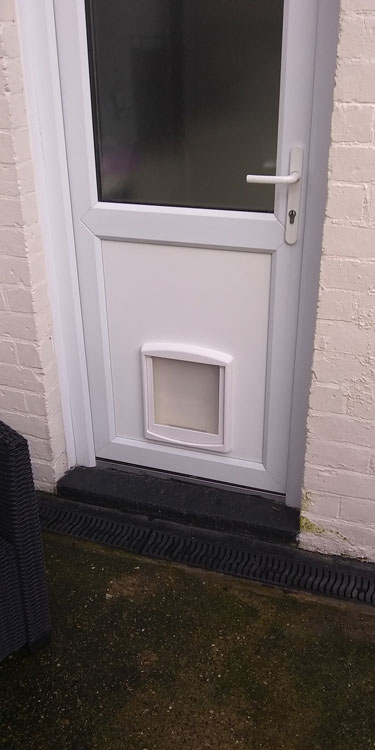 Dog flap fitters Gateshead and Newcastle