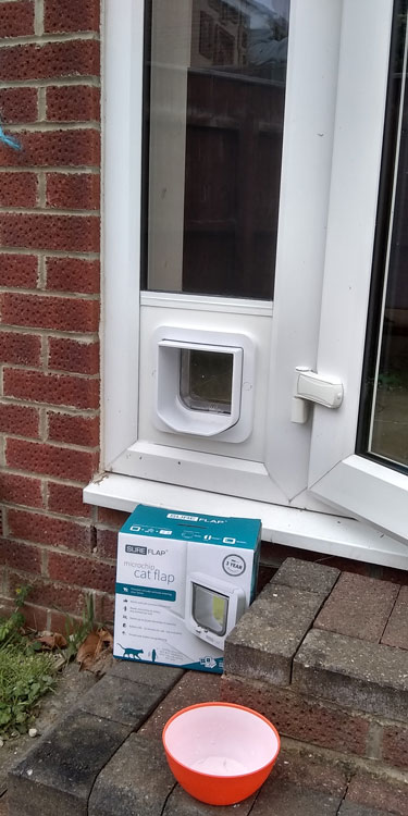 Cat and dog flap fitters Bedlington