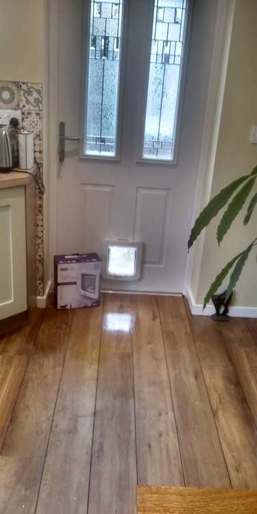 Cat and dog flap fitters Benton and Newcastle