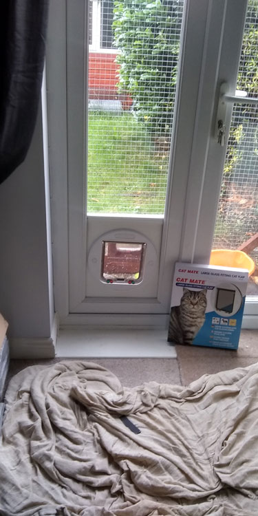 Cat and dog flap fitters Blaydon and Gateshead