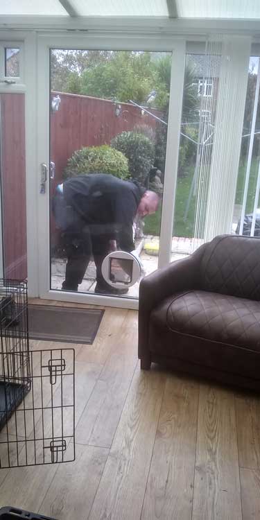 Cat and dog flap fitters Darlington