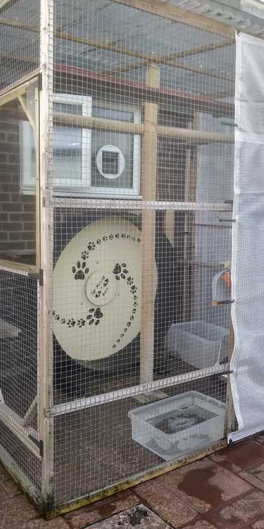 Cat and dog flap fitters Dudley and Weetslade