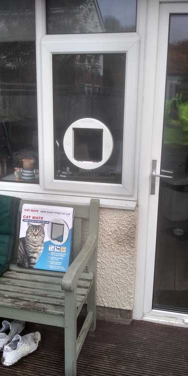Cat and dog flap fitters Durham