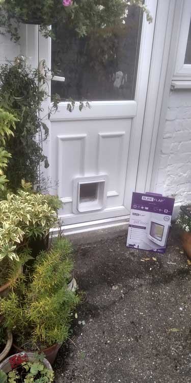 Cat and dog flap fitters Fenham and Newcastle