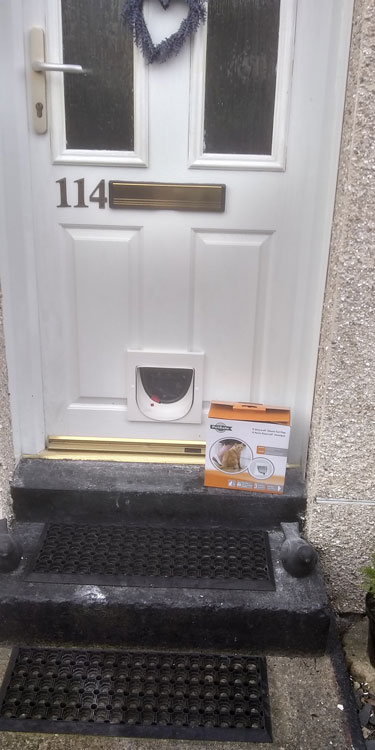 Cat and dog flap fitters Peterlee