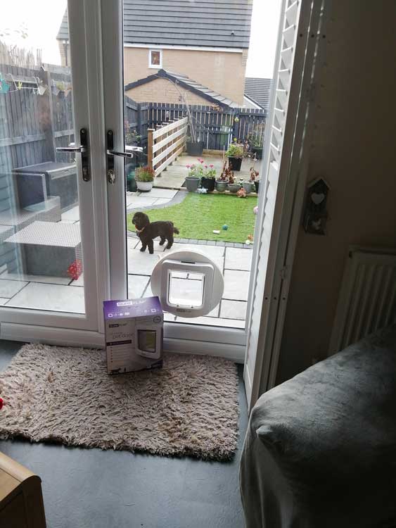 Cat and dog flap fitters Scarborough and Whitby