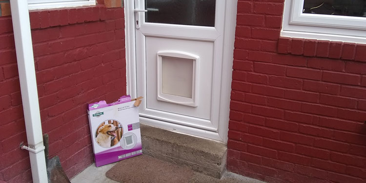 Cat and dog flaps Whickham and Newcastle