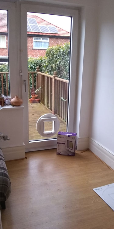 Cat and dogflap fitters Whitley Bay and North Tyneside