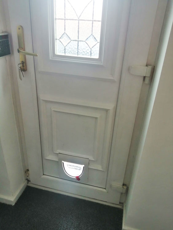 Cat and dog flap fitters Chester-le-Street