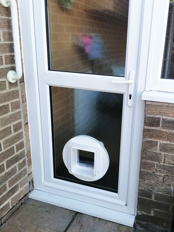 Cat and dog flap fitters Cramlington