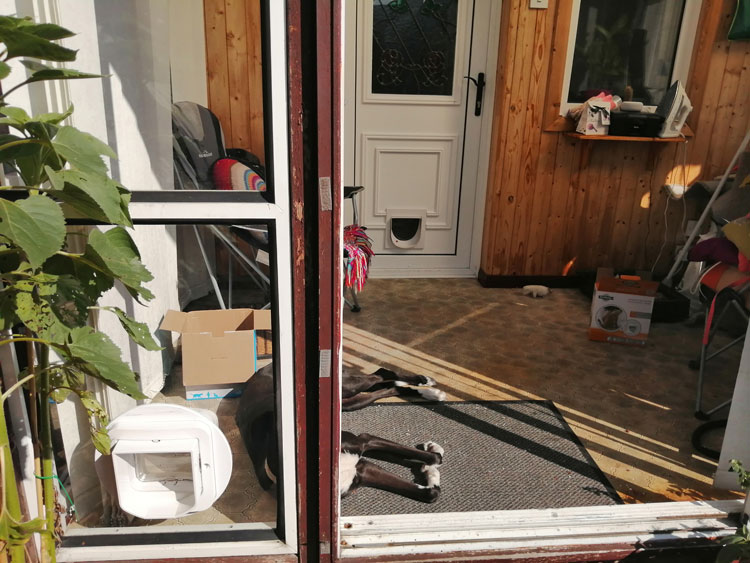 Cat and dog flap fitters Heaton