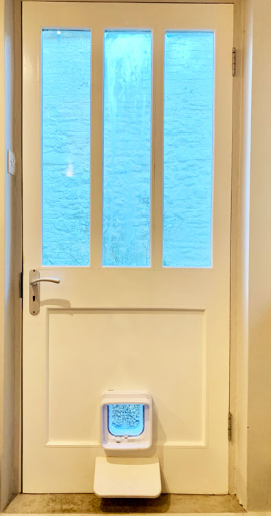 Cat and dog flap fitters Hexham and Allendale