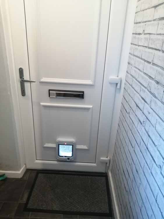 Cat and dog flap fitters Stanley