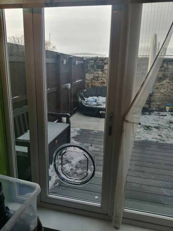 Dog and cat flap fitters Sunderland