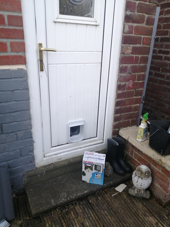 Cat flap fitters Blaydon