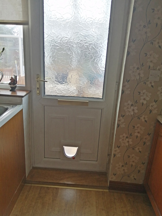 Cat flap fitters Ebchester and Consett