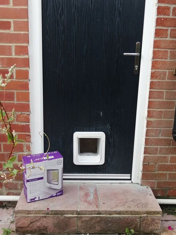 Cat flap fitters Gateshead at Winlaton