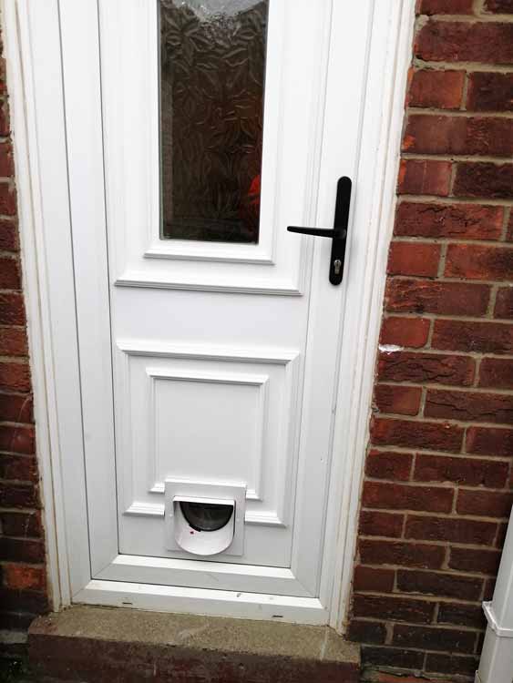 Cat flap fitters Hexham and Northumberland