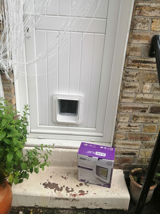 Cat flap fitters Ryton and Gateshead