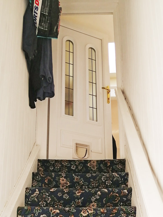 Cat flap fitters South Shields