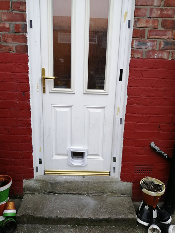 Cat flap fitters Walker and Byker