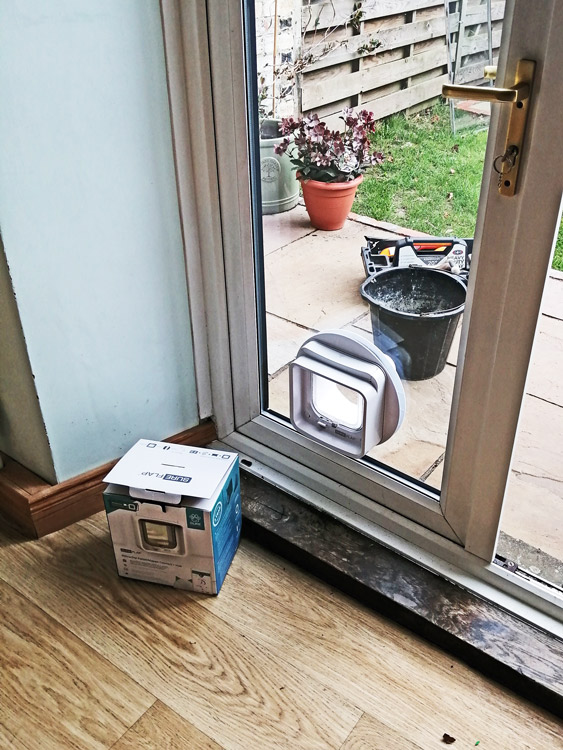Cat flap fitters Wark and Hexham