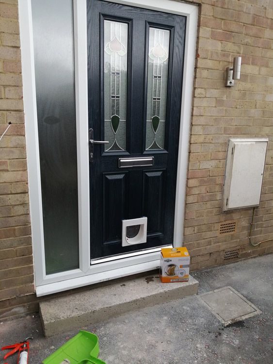 Cat flap fitters Washington