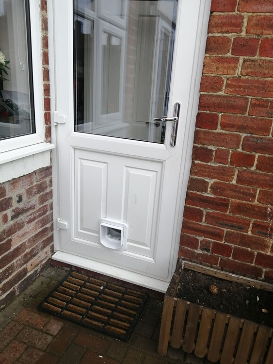 Cat flap fitters York
