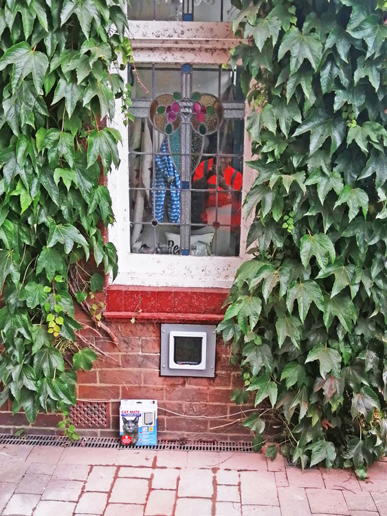 Cat Flaps Fitted Through the Wall