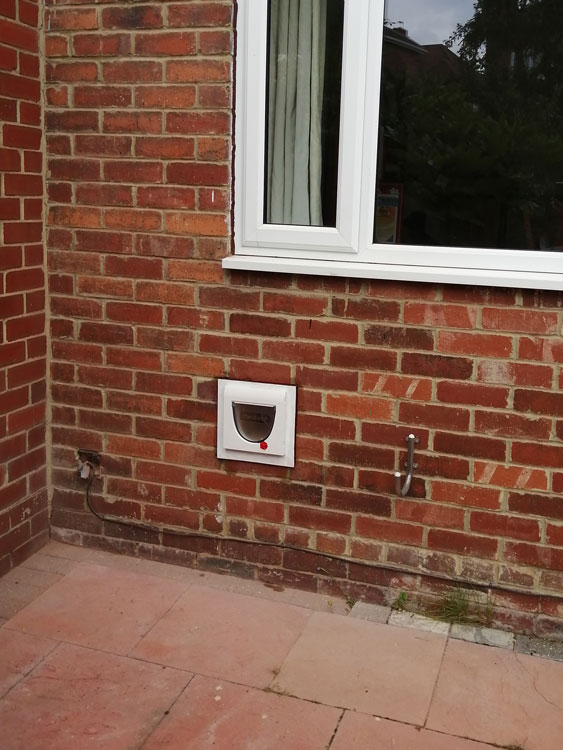 Cat flaps fitted through the wall Cumbria