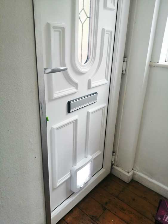 Cat flap fitters Byker