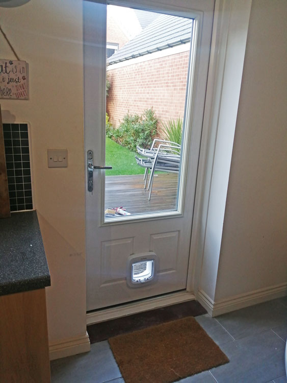 Cat flap fitters Carlisle