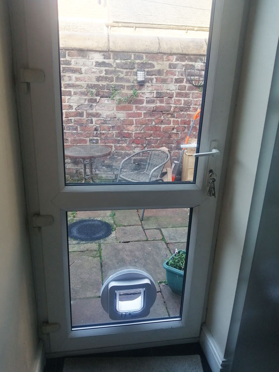 Cat flap fitters Carlisle