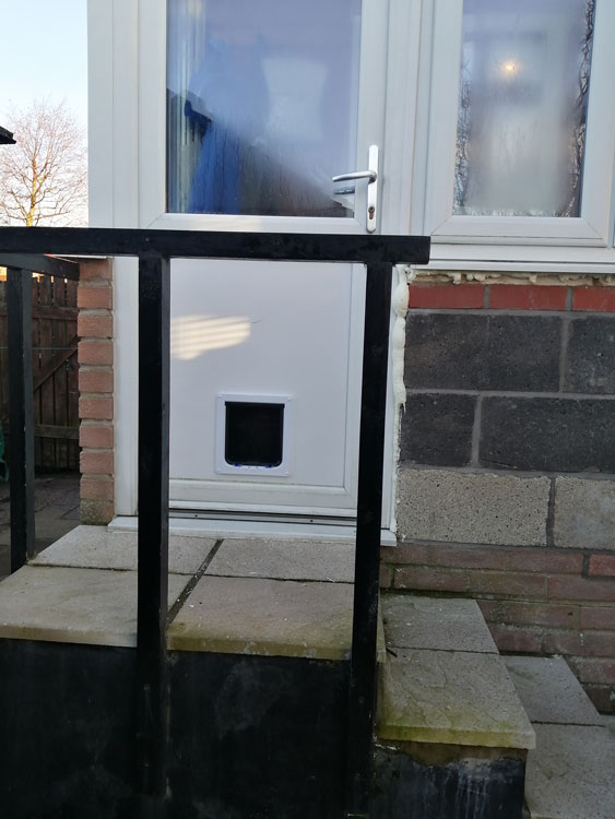 Cat flap fitters Carlisle