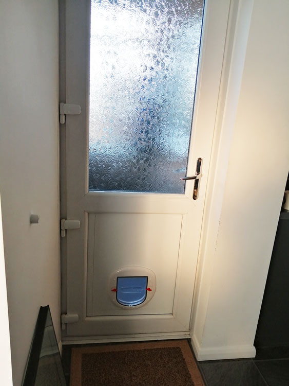 Cat flap fitters Carlisle