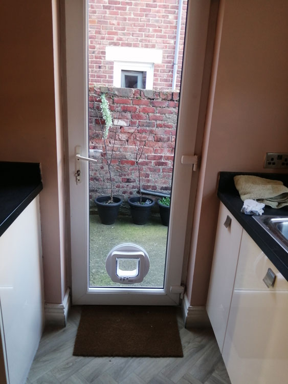 Cat flap fitters Carlisle