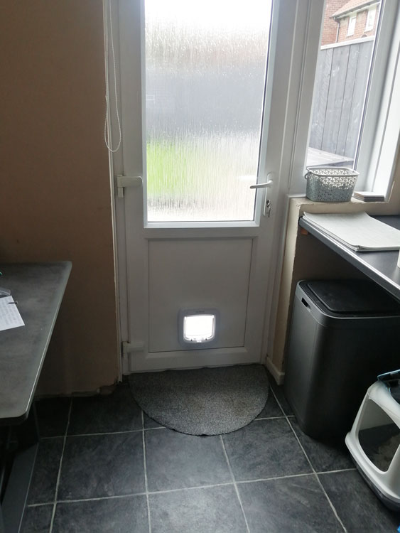 Cat flap fitters Carlisle