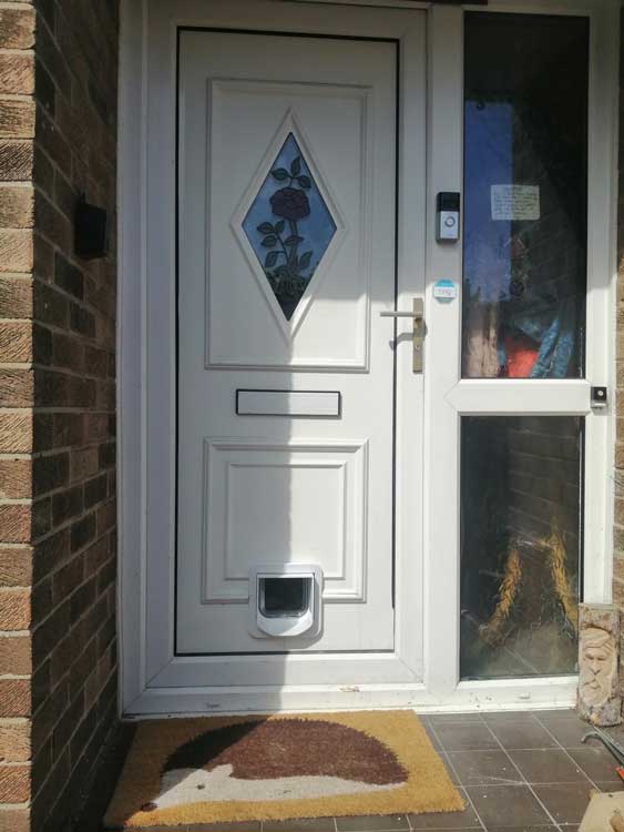 Cat flap fitters Cramlington