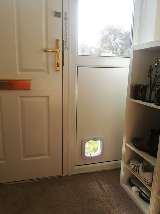 Cat flap fitters Cramlington