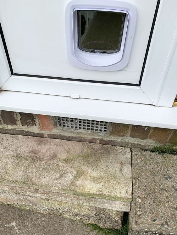 Cat flap fitters Cramlington