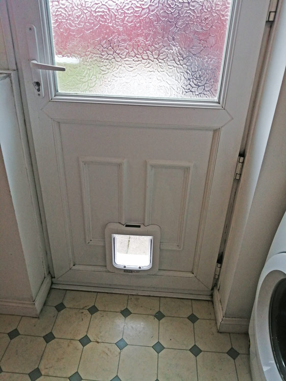 Cat flap fitters Cramlington and Blyth